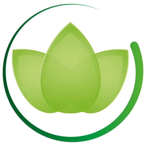 Foglie Piante Naturopata Wellness Massaggi Vegan Logo — Vettoriale Stock