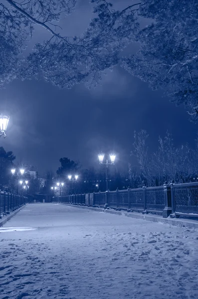 Winter park geceleri — Stok fotoğraf
