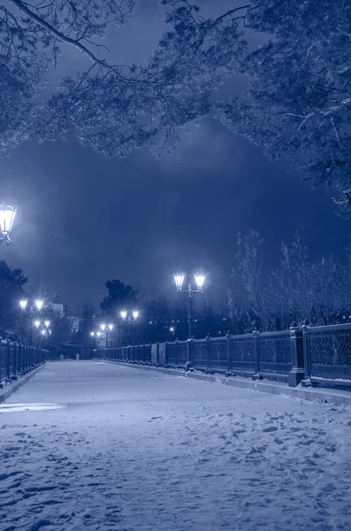 Winter park by night — Stock Photo, Image