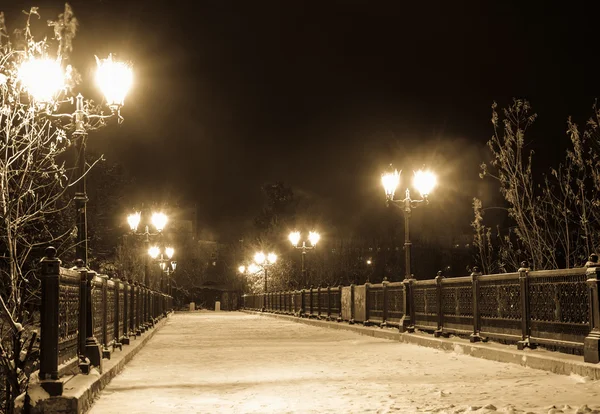 Winterpark bei Nacht — Stockfoto