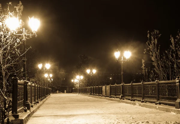 Parque de invierno por la noche —  Fotos de Stock