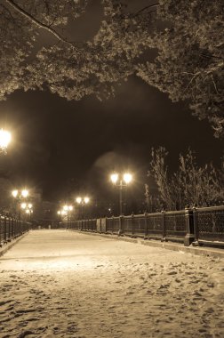 Winter park geceleri