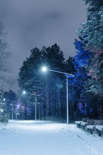 Winter park door de nacht — Stockfoto