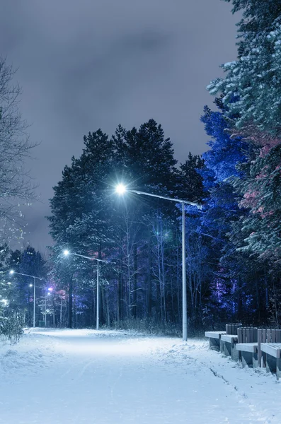 Parque de Inverno à noite — Fotografia de Stock