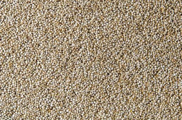 Graan van quinoa. Gezond veganistisch eten. — Stockfoto