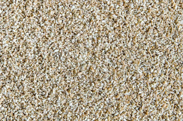 Wyciąć tło zbóż pszenicy — Zdjęcie stockowe