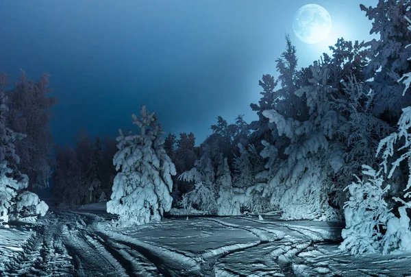 Nachtelijke landschap met spar bos sneeuw en volle maan. — Stockfoto