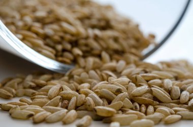 Çiğ çiğ yabani pirinç yığını