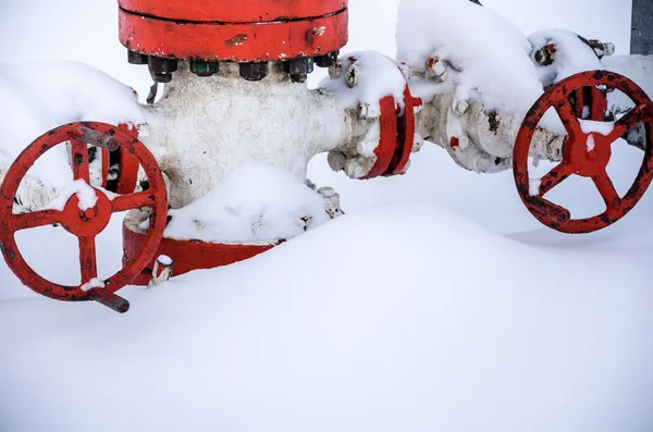 Wellhead valve. Oil and gas concept. — Stock Photo, Image