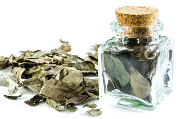 Dry curry leaves in glass bottle and in a heap isolated — Stock Photo, Image