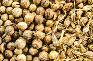 Kuru anason ve kişniş tohumu arka plan.