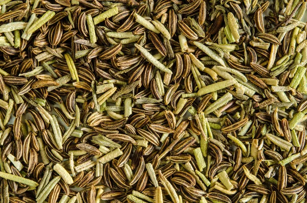 Folhas de alecrim secas e sementes de alcaravia . — Fotografia de Stock