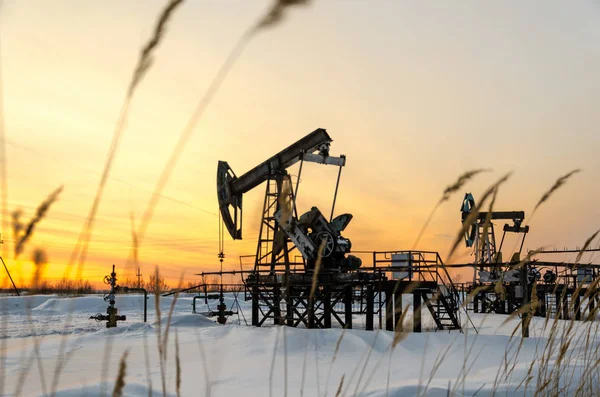 Campo petrolífero durante la puesta del sol en invierno — Foto de Stock