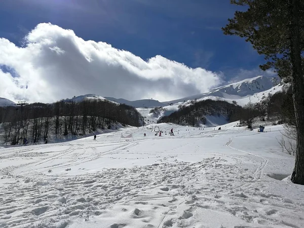 Campitello Matese Março 2018 Panorama Das Encostas Vistas Pinhal — Fotografia de Stock