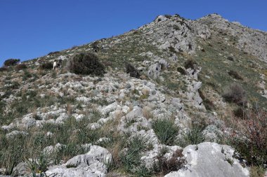 Sahip Lubrense, Campania, İtalya - 15 Şubat 2020: Punta Campanella 'dan Monte San Costanzo
