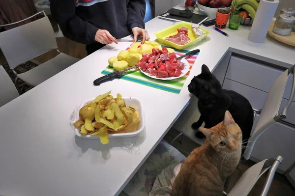 Familia Cocina Durante Preparación Del Guiso —  Fotos de Stock