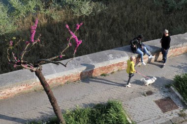 Benevento, Campania, İtalya - 13 Nisan 2020: Karantina sırasında köpeği gezdiren kız