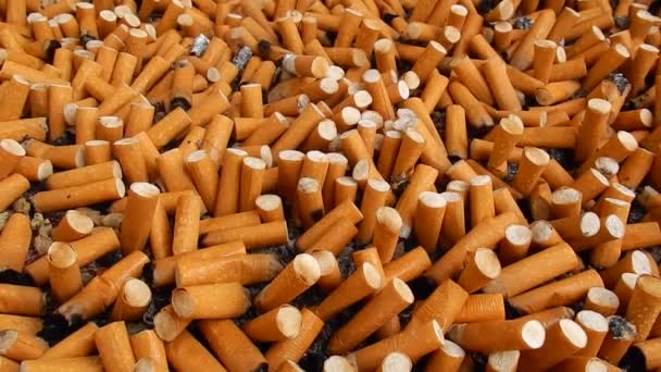 Mega ceneriera fumante — Vídeos de Stock