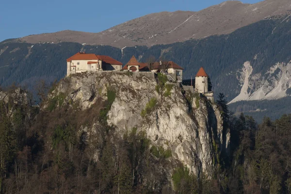 Château Bled Sur Une Pente Près Lac Bled Repère Populaire — Photo