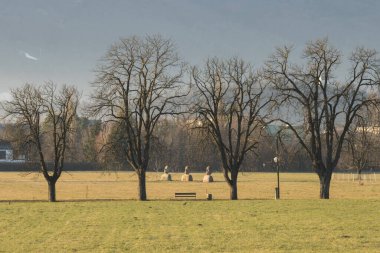 Slovenya, Maribor 'daki Modern Melek heykelleri. Güneşli bir kış gününde çekilen resimde Vrbanski platosunda ağaçlı ve popüler yürüyüş yolu bulunan heykeller..