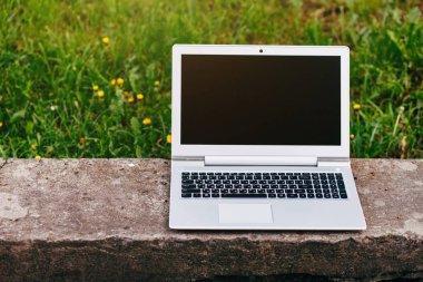 Şehir Parkı taş tezgah üstünde laptop