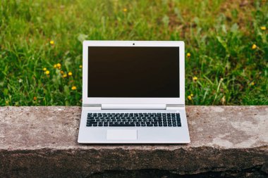 Şehir Parkı taş tezgah üstünde laptop