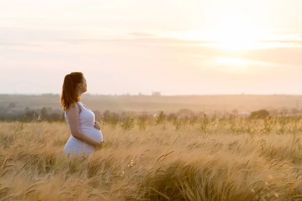 Pregnant woman in sunset field — Stock Photo, Image
