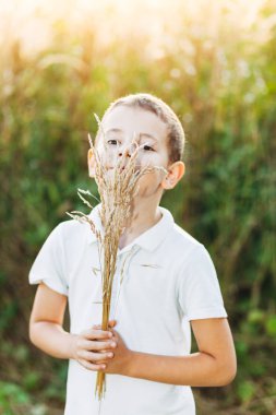 Beyaz tişört içinde küçük çocuk portre portre elinde buğday kulaklı