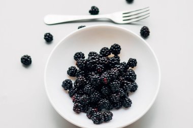 Bir porselen tabak üstten görünüm bardak yaban mersini avuç