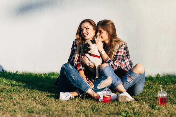 Siostry, siedząc na trawie w parku — Zdjęcie stockowe