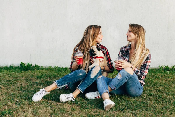 Tweelingzusjes Opknoping Samen Een Park Met Een Schattig Pug Hond — Stockfoto