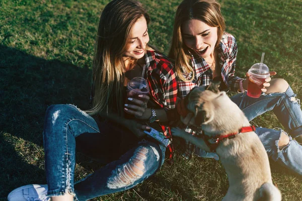 Tweelingzusjes Opknoping Samen Een Park Met Een Schattig Pug Hond — Stockfoto