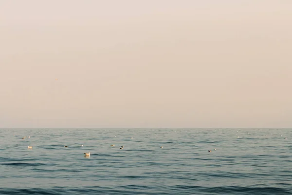 Mar azul calma — Foto de Stock