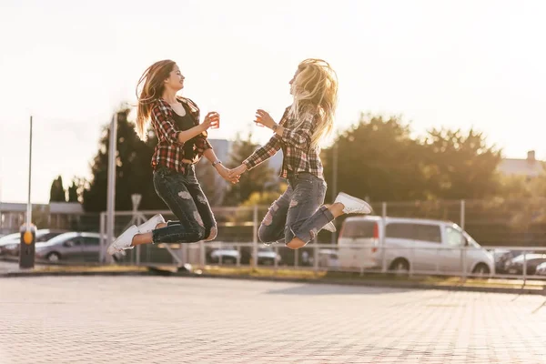 Fete surori gemene în parc de vară — Fotografie, imagine de stoc