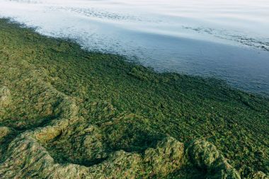 Güzel bir plaj kum ve deniz güneşli gün görünümü