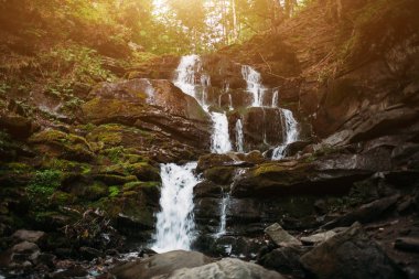 Şelale Karpat Dağları'nda. Shypit Ukrayna Europe