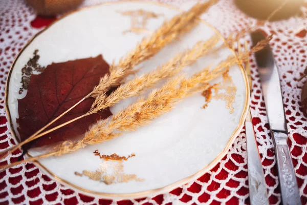 Dry Leaf Ears White Plate Plate Red Table Romantic Dinner — Stock Photo, Image