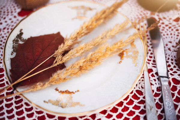 Dry leaf and ears on a white plate. Plate on a red table. Romantic dinner