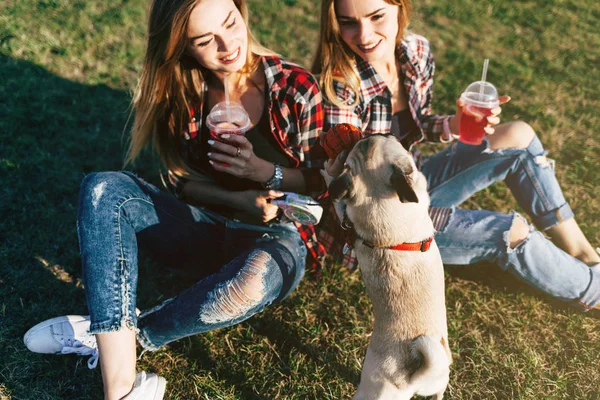 Irmãs Gêmeas Saindo Juntos Parque Com Cachorro Bonito — Fotografia de Stock