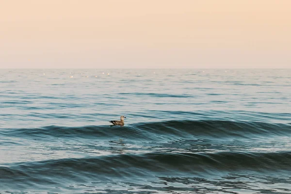 Mar azul calma — Foto de Stock