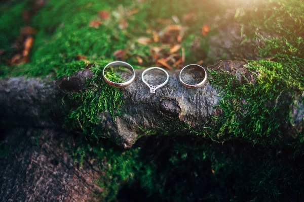 Anéis Casamento Fundo Madeira Luz Solar Conceito Amor — Fotografia de Stock