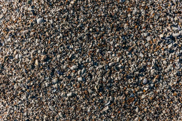 Kis kövek és kagylók — Stock Fotó