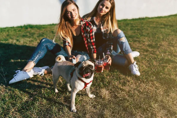 Irmãs Gêmeas Saindo Juntos Parque Com Cachorro Bonito — Fotografia de Stock