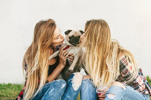 Hermanas Gemelas Pasando Rato Juntas Parque Con Lindo Perrito —  Fotos de Stock