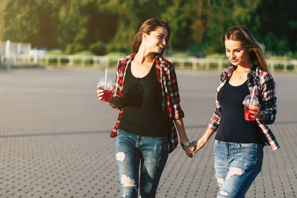 Niñas hermanas gemelas en el parque de verano — Foto de Stock