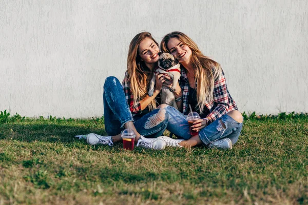 Hermanas gemelas en el parque —  Fotos de Stock