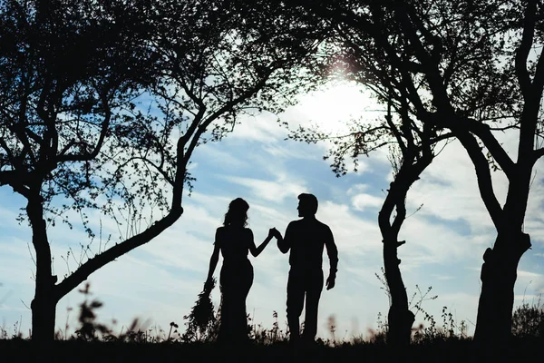 Silhouette of young married couple in garden on background of blue sky