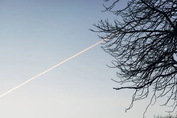 Силуэт Дерева Ветвей Красивое Небо Закате — стоковое фото