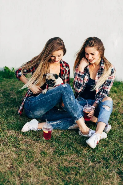 Sisters sitting on grass in park — Stock Photo, Image