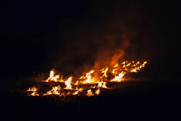 Burning Dry Grass Night Field — Stock Photo, Image